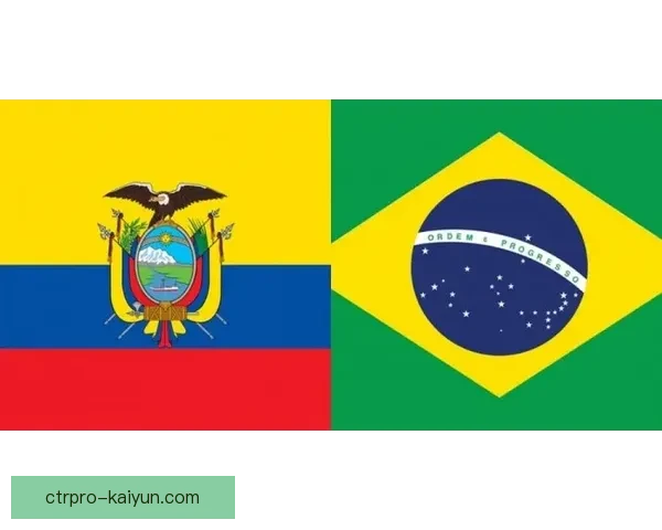 维尼修斯精神属性分析：在竞争中展现的韧性与决心